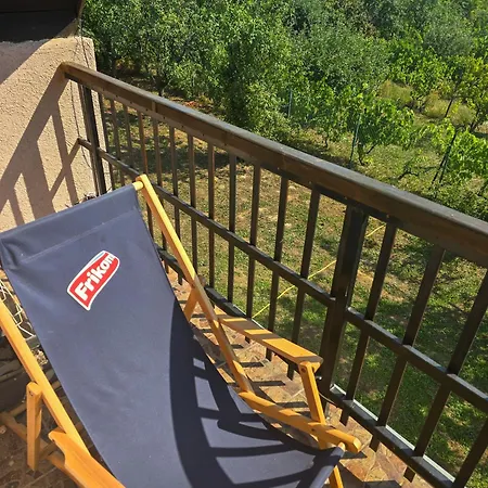 Nera Sremski Karlovci